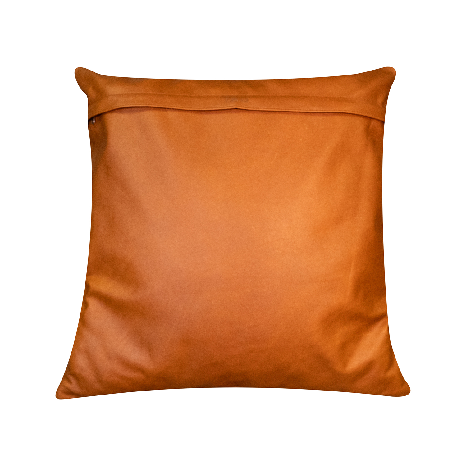 Genuine Cushion Case | Large - Image 3