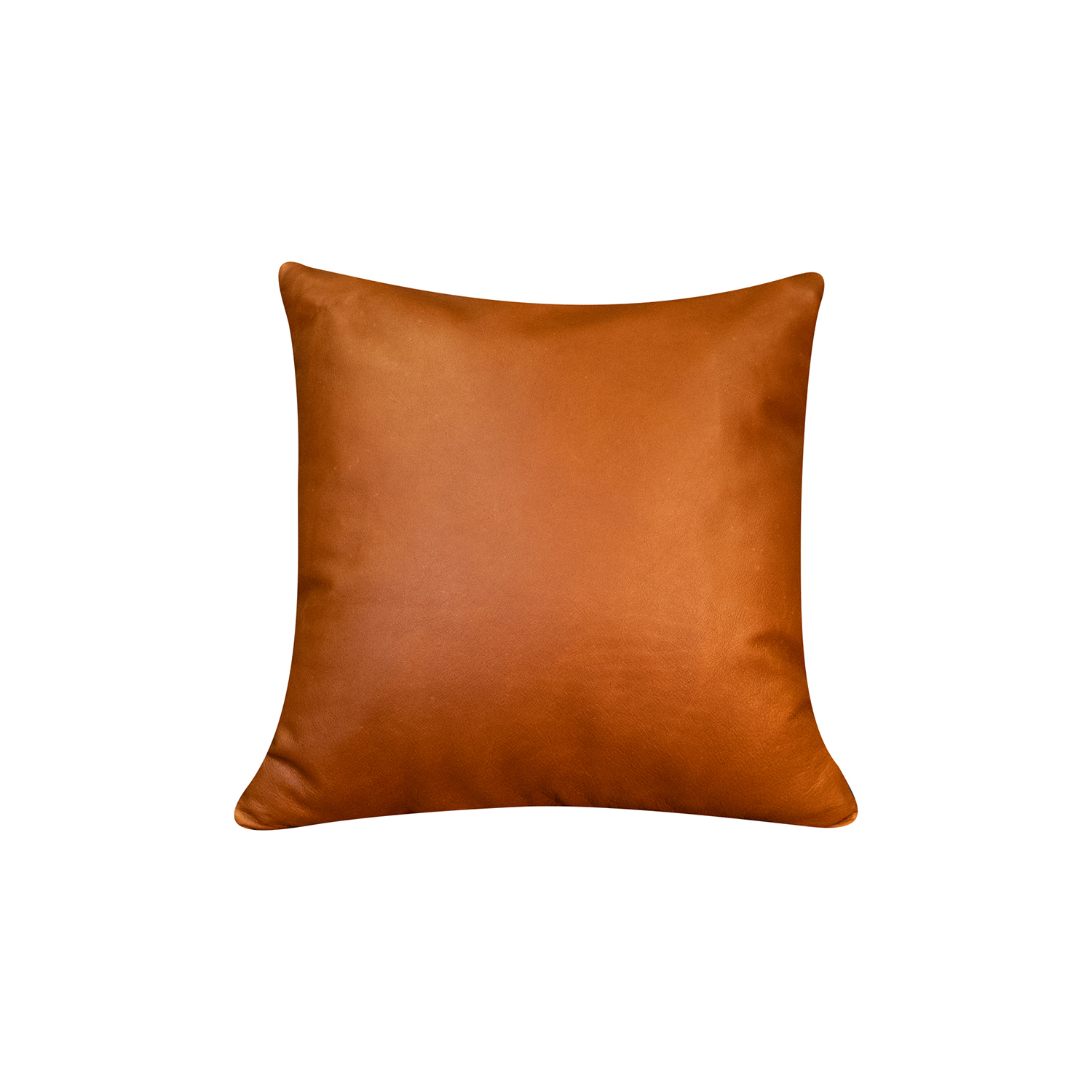 Genuine Cushion Case | Small