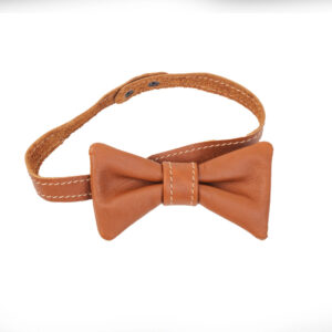 Bow Tie